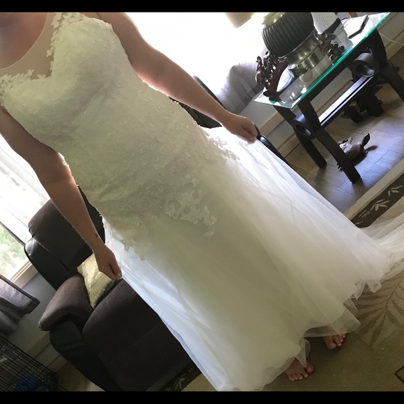 Wedding dress from David’s bridal size 16 - Picture 7 of 7